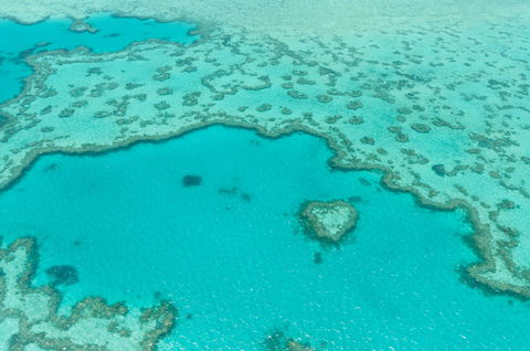 Whitsundays Seaplane Tours - Accommodation Whitsundays 2