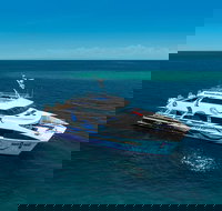 AquaQuest Great Barrier Reef Diving and Snorkeling Cruise from Port Douglas - Accommodation Whitsundays