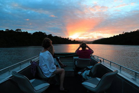 Daintree River Sunset Cruise - Accommodation Whitsundays 0