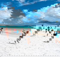 Whitehaven Beach and Hamilton Island Cruise - Accommodation Whitsundays