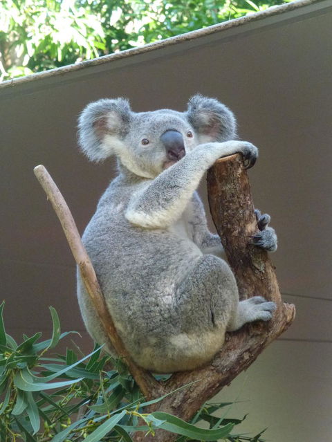 Whitehaven Beach And Hamilton Island Cruise - Accommodation Whitsundays 6