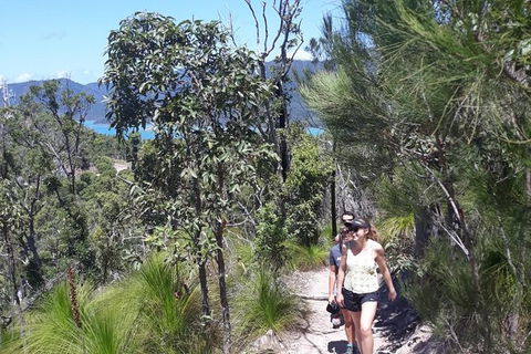 Scenic Guided Walk Up Mt Rooper For Best Whitsunday Views From Airlie Beach - Accommodation Whitsundays 1
