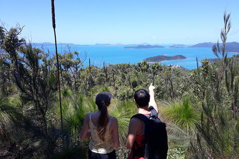 Scenic Guided Walk Up Mt Rooper For Best Whitsunday Views From Airlie Beach - Accommodation Whitsundays 0