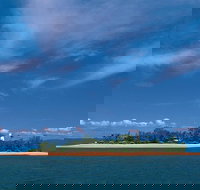 Afternoon Low Isles Snorkeling and Sailing Cruise from Port Douglas - Accommodation Whitsundays