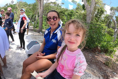 Whitehaven Beach Day Tour With Snorkel In Whitsundays Island - Accommodation Whitsundays 24