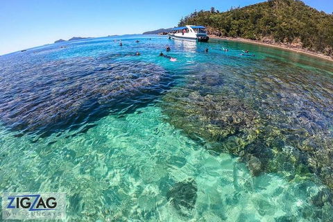 Whitehaven Beach Day Tour With Snorkel In Whitsundays Island - Accommodation Whitsundays 8
