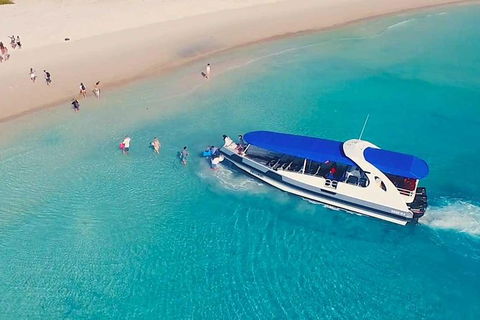 Whitehaven Beach Day Tour With Snorkel In Whitsundays Island - Accommodation Whitsundays 9