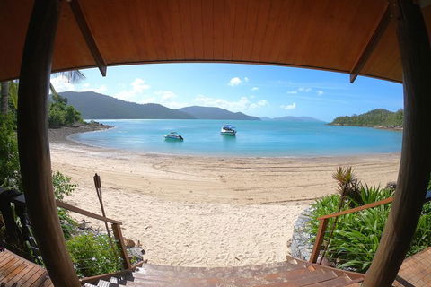 Whitehaven Beach Day Tour With Snorkel In Whitsundays Island - Accommodation Whitsundays 13