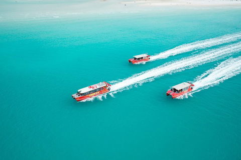 Whitehaven Beach And Hill Inlet Lookout Full-Day Snorkeling Cruise By High-Speed Catamaran - Accommodation Whitsundays 5