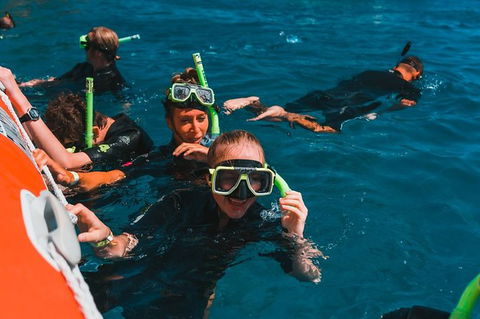Whitehaven Beach And Hill Inlet Lookout Full-Day Snorkeling Cruise By High-Speed Catamaran - Accommodation Whitsundays 10