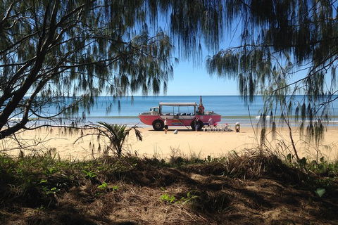 1770 Coastline Tour By LARC Amphibious Vehicle Including Picnic Lunch - Accommodation Whitsundays 0