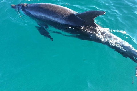 1770 Coastline Tour By LARC Amphibious Vehicle Including Picnic Lunch - Accommodation Whitsundays 4