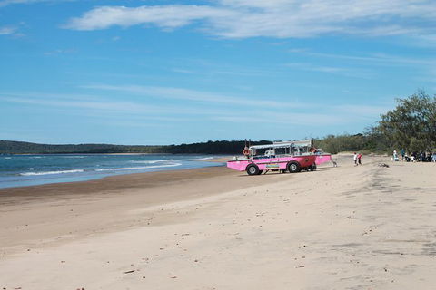 1770 Coastline Tour By LARC Amphibious Vehicle Including Picnic Lunch - Accommodation Whitsundays 6