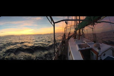 Whitsundays Sunset Sailing Cruise - Accommodation Whitsundays 3