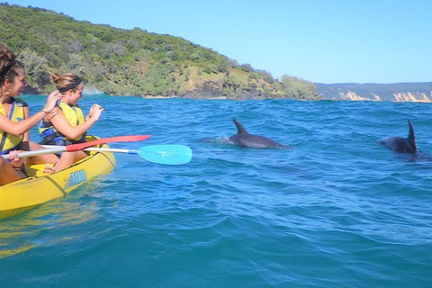 Half-Day Kayak With Dolphins And 4WD Beach Drive From Rainbow Beach - Accommodation Whitsundays 1