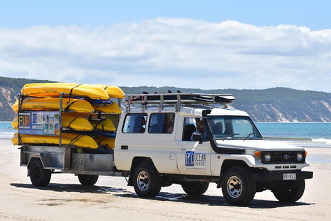 Half-Day Kayak With Dolphins And 4WD Beach Drive From Rainbow Beach - Accommodation Whitsundays 13