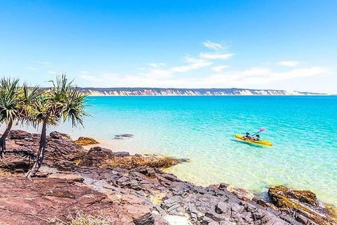 Half-Day Kayak With Dolphins And 4WD Beach Drive From Rainbow Beach - Accommodation Whitsundays 5