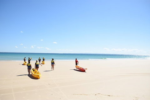 Half-Day Kayak With Dolphins And 4WD Beach Drive From Rainbow Beach - Accommodation Whitsundays 10