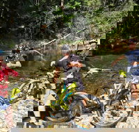 Electric Mountain Bike Rainforest Eco Tour - Accommodation Whitsundays