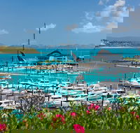 Three Island Guided Tour - Accommodation Whitsundays
