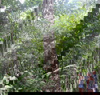 Sightseeing Tour - Half Day - Accommodation Whitsundays