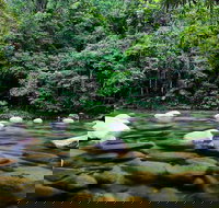 Mossman Silky Oaks to/from Cairns - Accommodation Whitsundays