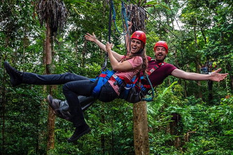 Daintree Atttractions Pass: The Best Of The Daintree In A Day - Accommodation Whitsundays 1