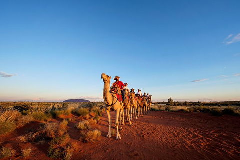 Uluru Small-Group Tour By Camel At Sunrise Or Sunset - Accommodation Whitsundays 0
