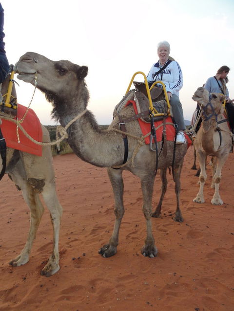 Uluru Small-Group Tour By Camel At Sunrise Or Sunset - Accommodation Whitsundays 2