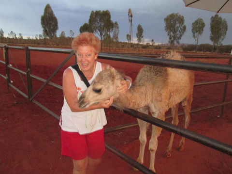 Uluru Small-Group Tour By Camel At Sunrise Or Sunset - Accommodation Whitsundays 18