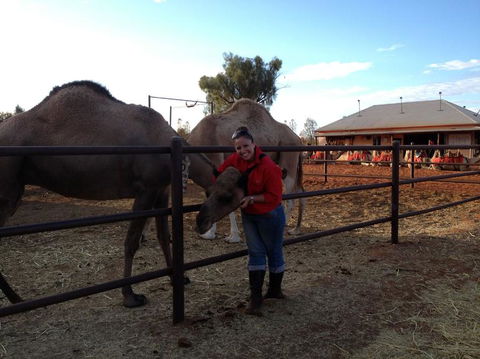 Uluru Small-Group Tour By Camel At Sunrise Or Sunset - Accommodation Whitsundays 21