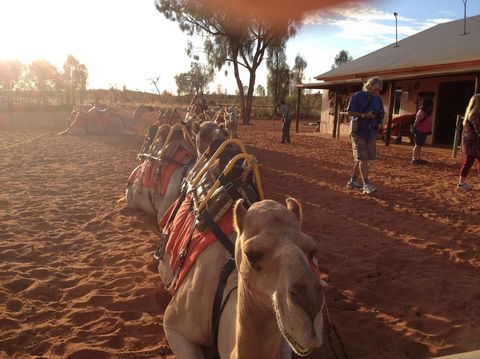 Uluru Small-Group Tour By Camel At Sunrise Or Sunset - Accommodation Whitsundays 22