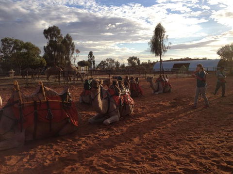 Uluru Small-Group Tour By Camel At Sunrise Or Sunset - Accommodation Whitsundays 23