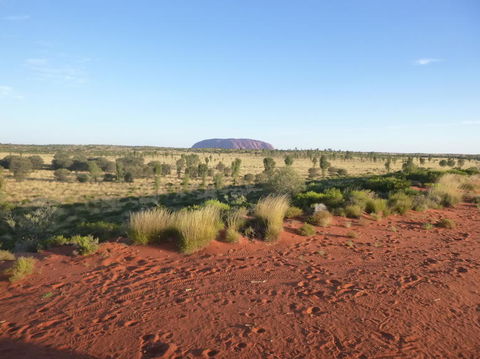 Uluru Small-Group Tour By Camel At Sunrise Or Sunset - Accommodation Whitsundays 9
