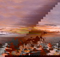 Darwin Harbour Sunset Cruise with Optional Buffet Dinner - Accommodation Whitsundays