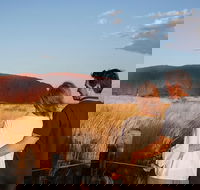 Uluru Ayers Rock Sunset with Outback Barbecue Dinner and Star Tour - Accommodation Whitsundays