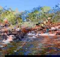 Litchfield and Jumping Crocodiles Full Day Trip from Darwin - Accommodation Whitsundays