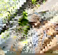 Small-Group Litchfield National Park Day Trip from Darwin - Accommodation Whitsundays