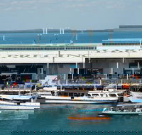 Darwin Harbour Bombing of Darwin Cruise - Accommodation Whitsundays