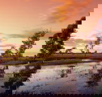 3-Day Kakadu National Park and Arnhem Land Explorer Tour from Darwin - Accommodation Whitsundays