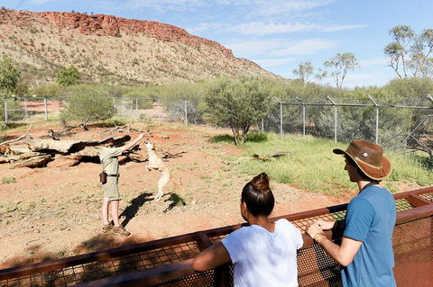 Alice Springs Desert Park General Entry Ticket - Accommodation Whitsundays 9