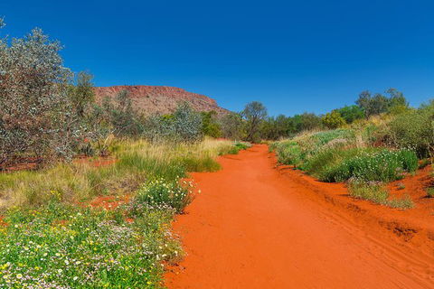 Alice Springs Desert Park General Entry Ticket - Accommodation Whitsundays 7