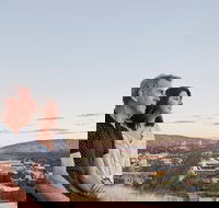 Alice Springs Highlights Half-Day Tour - Accommodation Whitsundays