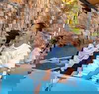 Katherine Day Tour from Darwin including Katherine Gorge Cruise - Accommodation Whitsundays