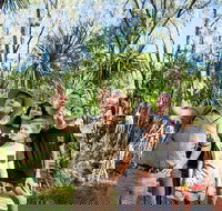 4-Day Kakadu National Park Katherine and Litchfield National Park Camping Tour from Darwin - Accommodation Whitsundays