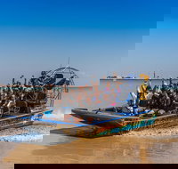 1 Hour Darwin Airboat Tours - Accommodation Whitsundays