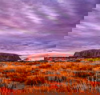 4-Day Camping Trip from Ayers Rock Including Uluru Kata Tjuta and Kings Canyon - Accommodation Whitsundays