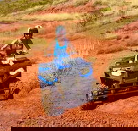 Aussie Outback Air and Land Tour Including Quad Bike Ride - Accommodation Whitsundays