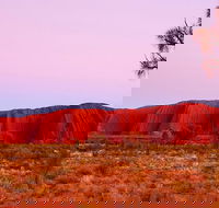Best of Ayers Rock Sunset Uluru and Sunrise Kata Tjuta Small Group Tours - Accommodation Whitsundays