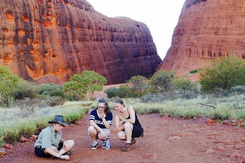 Afternoon Kata Tjuta Small Group Tour - Accommodation Whitsundays 7